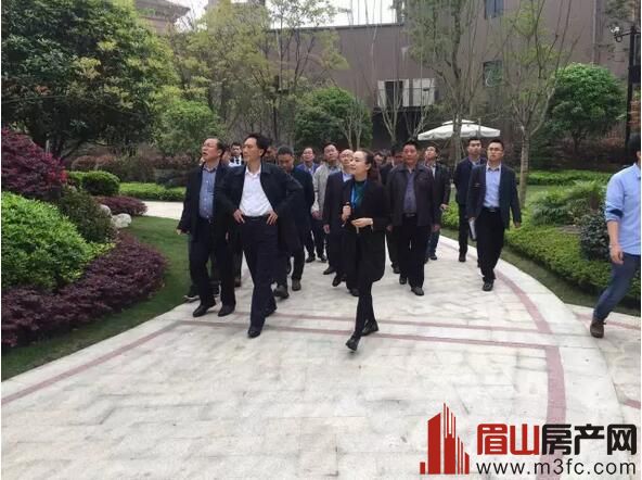 眉山市政府副市长冉登祥一行实地考察眉山领地·凯旋国际公馆项目建设