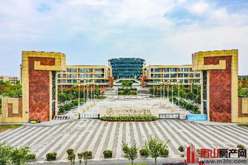 工商学院,城市学院,眉山职业技术学院等三所高校师生规模已达5万