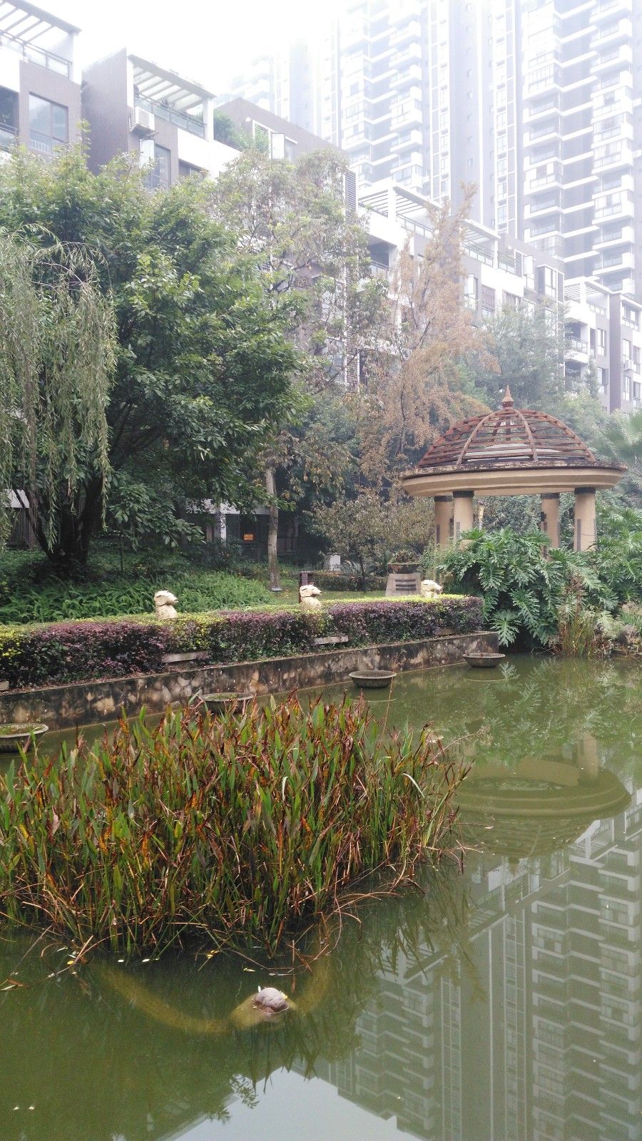 华陆世纪景城4F 2/2 80.33.8万包证 约80㎡全新精装送平台 信息多多