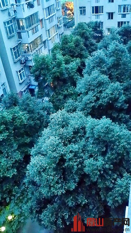 百坡路183号学府轩 3室2厅2卫 121.94㎡