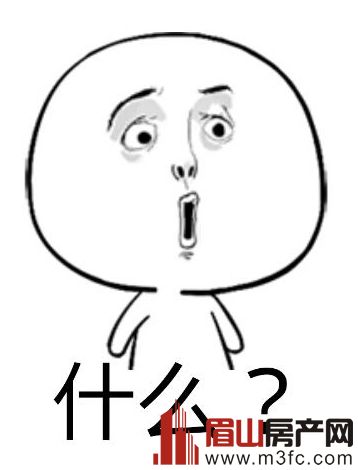 眉山人口2021总人数_眉山水街开放时间2021