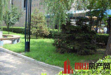 荔枝园 3室2厅2卫