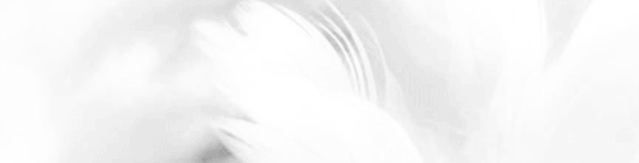 ΢ͼƬ_20200619091234.gif