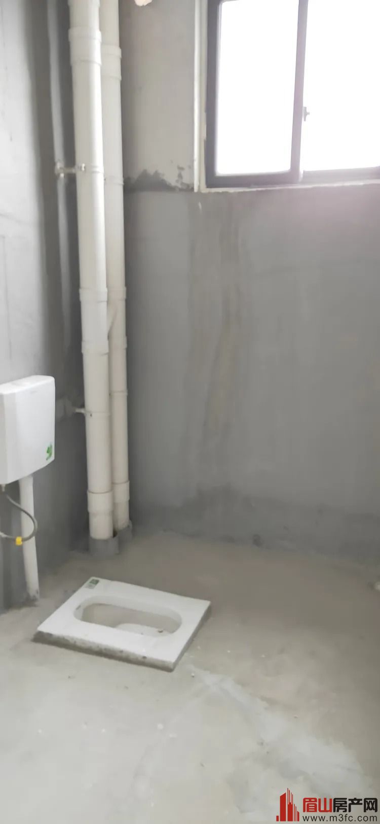 ���µ��ϰ׻�̲С�� 4��2��2�� 135�O