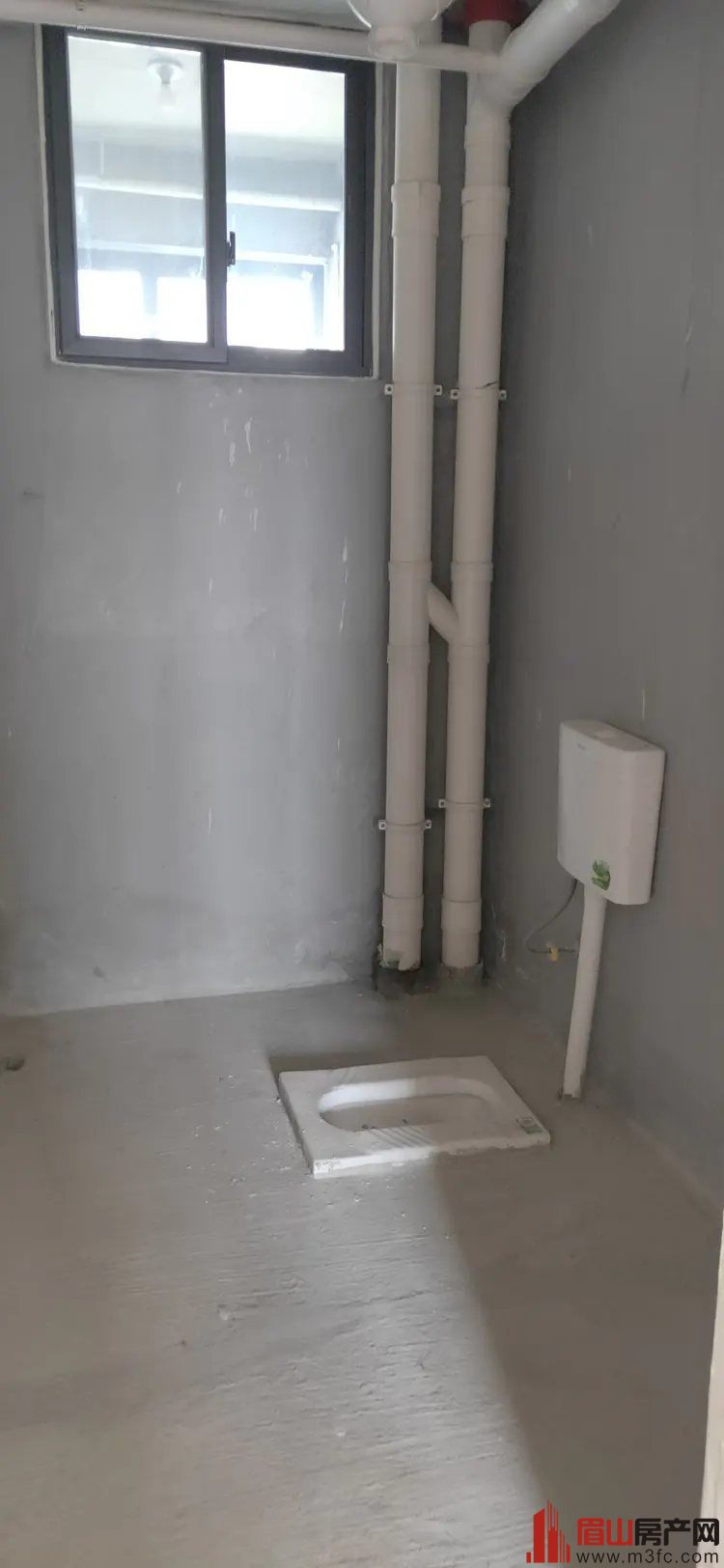 ���µ��ϰ׻�̲С�� 4��2��2�� 135�O