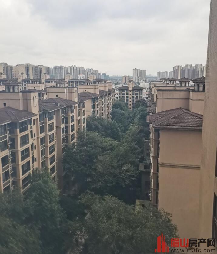 �����㳡 3��2��2�� 105�O